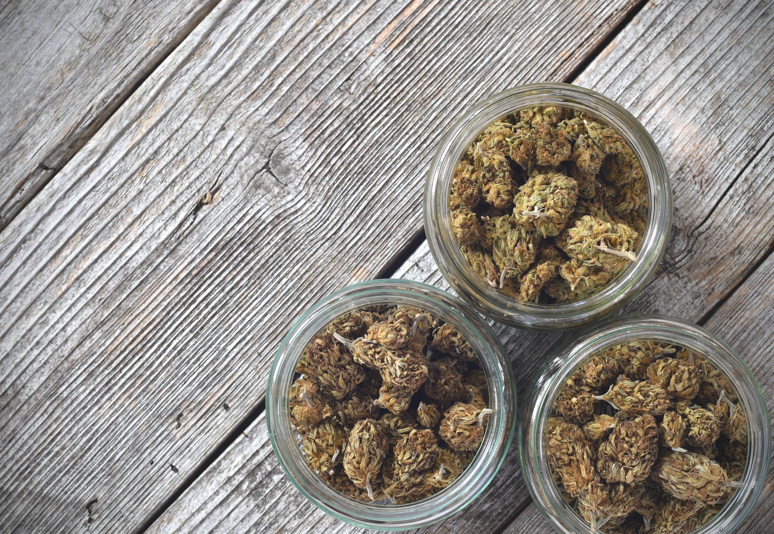 Dry and trimmed cannabis buds stored in a glas jars on a wooden table