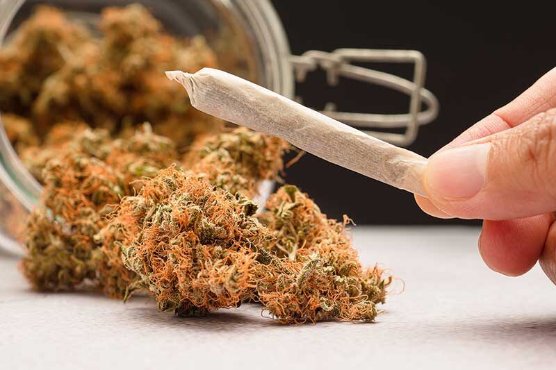 | 3D Cannabis Center Cannabis for Beginners guide