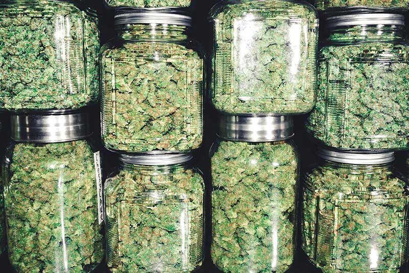 | 3D Cannabis Center flower buds