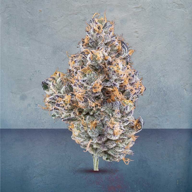 | 3D Cannabis Center marijuana flower dispensary salida co